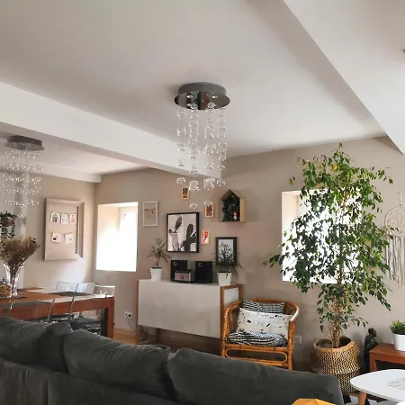 Au Grenier De La Grenouille Apartment *