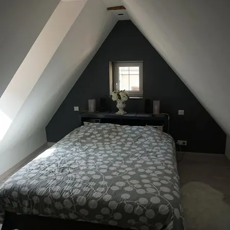 Apartment Au Grenier De La Grenouille