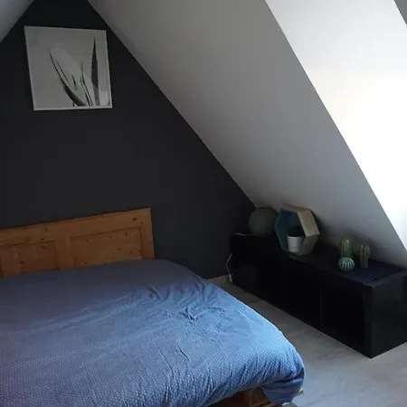 Apartment Au Grenier De La Grenouille Colmar