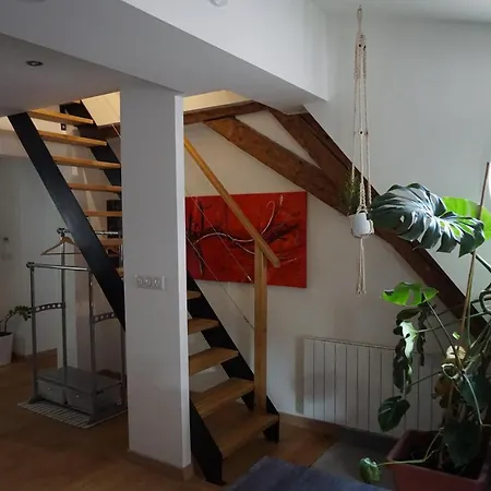 Apartment Au Grenier De La Grenouille *