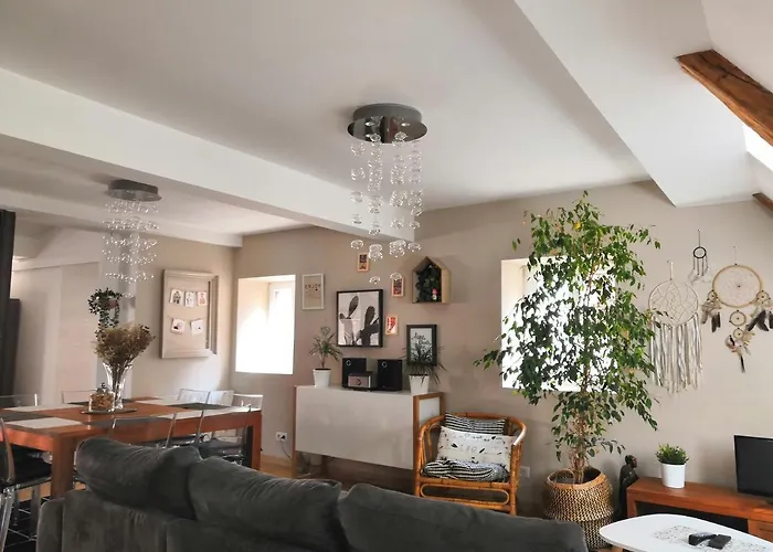 Au Grenier De La Grenouille Apartamento *