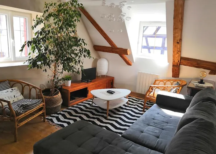 Apartamento Au Grenier De La Grenouille Colmar