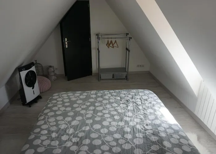 Au Grenier De La Grenouille